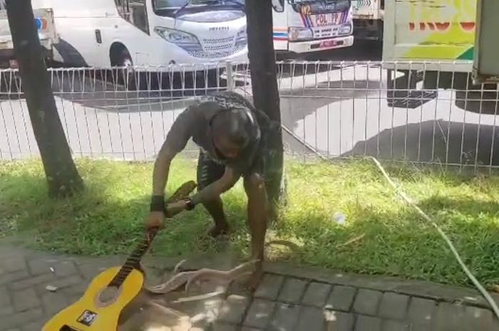 Pengamen Terjaring Operasi Satpol PP, Emosi dan Merusak Gitarnya Sendiri